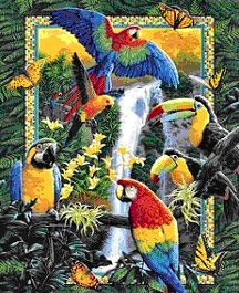 Birds Of Paradise Puzzle,Bald Eagle, Bird Lovers,Bird Products,Bird Gifts, Bird Items,Bluebird Music Boxes,Parrot Puzzles