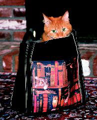Cat Lovers,Cat Collectibles,Music Boxes,Litter Boxes, Cat Tote Bags, Leads, Cat Harnesses, Cat Grooming Tools