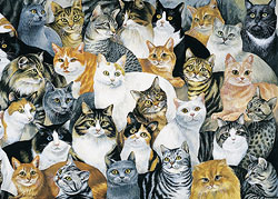 Cat Lovers,Cat Puzzles,Cat Toys,Toys, Playing Cards, cat related games, Cat Games, Cat Gifts,Cat lover gifts