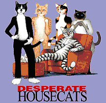 Cat Lovers,Cat Collectibles,Music Boxes,Litter Boxes, Cat Tote Bags, Leads, Cat Harnesses, Cat Grooming Tools