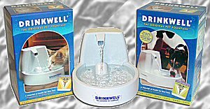 Cat Lovers,Cat Collectibles,Music Boxes,Litter Boxes, Cat Tote Bags, Leads, Cat Harnesses, Cat Grooming Tools