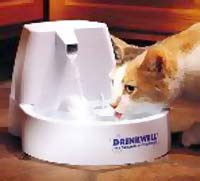 Cat Lovers,Cat Collectibles,Music Boxes,Litter Boxes, Cat Tote Bags, Leads, Cat Harnesses, Cat Grooming Tools