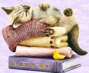 Cat Lovers,Cat Collectibles,Music Boxes,Litter Boxes, Cat Tote Bags, Leads, Cat Harnesses, Cat Grooming Tools