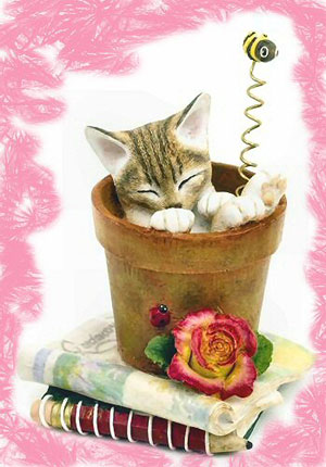 Cat Lovers,Cat Collectibles,Music Boxes,Litter Boxes, Cat Tote Bags, Leads, Cat Harnesses, Cat Grooming Tools