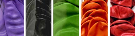 Dog Lovers,Dog Earrings,Carriers,Dog Beds Dog Tote Bags, Leads, Dog Harnesses, Dog Grooming Tools