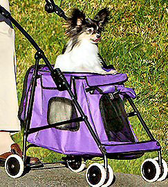 Dog Boots, dog Booties,Raincoats,dog raincoats, Timers, Dog Collars, Leads, Dog Harnesses, Dog Grooming Tools