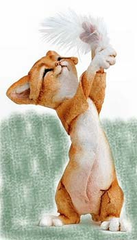 Cat Lovers,Cat Totes, Cat bags, Cat Earrings,Carriers,Litter Boxes, Cat Tote Bags, Leads, Cat Harnesses, Cat Grooming Tools