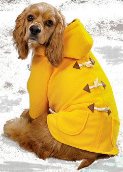Dog Lovers,Dog Earrings,Carriers,Dog Beds Dog Tote Bags, Leads, Dog Harnesses, Dog Grooming Tools