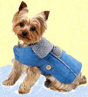 Dog Lovers,Dog Earrings,Carriers,Dog Beds Dog Tote Bags, Leads, Dog Harnesses, Dog Grooming Tools