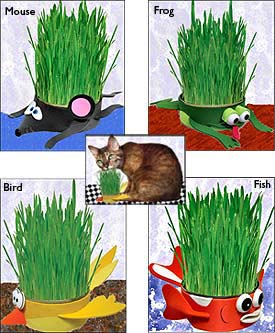 Cat Lovers,Cat Collectibles,Music Boxes,Litter Boxes, Cat Tote Bags, Leads, Cat Harnesses, Cat Grooming Tools