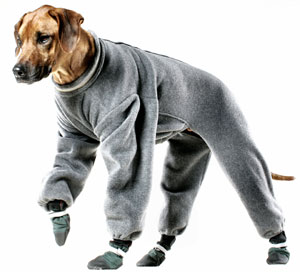 Dog Boots, dog Booties,Raincoats,dog raincoats, Timers, Dog Collars, Leads, Dog Harnesses, Dog Grooming Tools