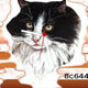 Cat Clocks