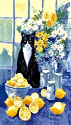 Cat Lovers, Towels, Dinner Ware, Tea Ware, Ceramics, Music Boxes, clocks, T-shirts, sweatshirts, cat lovers t-shirts, Earrings, Cat Tote Bags, Totes, Earrings, Cat Earrings, Cat jewelry, Leads, Cat Harnesses, Cat Grooming Tools