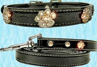 Dog Paw Tectors Boots/Booties,Kitchen Timers, Dog Collars, Leads, Dog Harnesses, Dog Grooming Tools