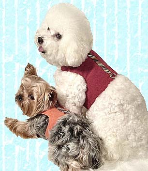 Dog Products,Collars, harnesses, Dog Earrings,Carriers,Dog Beds Dog Tote Bags, Leads, Dog Harnesses, Dog Grooming Tools