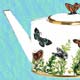 Wings Of
 Grace Teapot