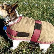 Waterproof Insulated Blanket Coat