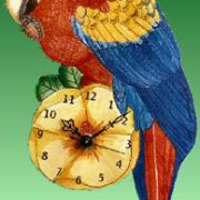 Macaw Clock