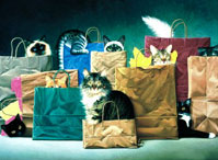 Cat Lovers,Cat Puzzles,Cat Toys,Toys, Playing Cards, cat related games, Cat Games, Cat Gifts,Cat lover gifts