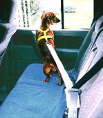 Dog Products,Dog Gifts,  Dog Collars, Leads, Dog Harnesses, Dog Grooming Tools