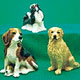 Dog Banks Pedigree 
Watches of Dog Breeds, Collectibles, Dog Clocks,Professionals,dog athletes,Music Boxes