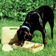 Dog Portables Dog Products,Collars For Dogs, Dog Collars, Leads, Dog Harnesses, Dog Bowls,water stations