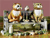 Cat Sculpture Collectibles,Music Box, Cat Clocks, Cat Sculptures,Cat Figurines