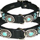 Dog Collar Pedigree 
Watches of Dog Breeds