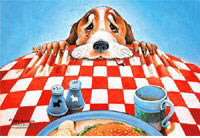 Pictured Dog Towels,Kitchen Timers, Dog Collars, Leads, Dog Harnesses, Dog Grooming Tools