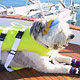 Dog Preserver Dog,dog life preservers Dog,pet life preservers Dog,life preservers dogs Dog,floatation Jackets Dog,floatation jackets animals Dog,dog raincoats Dog,dog jumpsuits Dog,raincoats dogs Dog,jackets dogs Dog,coats dogs Dog,dog collars