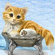 Candy Dish Sweetie Collectibles, Cat Clocks,Music Boxes