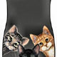 Cat Mat Collectibles, Cat Clocks,Music Boxes