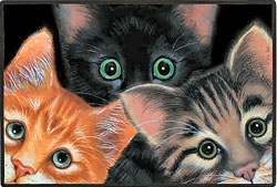 Cat Lovers,Cat Collectibles,Music Boxes,Litter Boxes, Cat Tote Bags, Leads, Cat Harnesses, Cat Grooming Tools