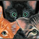 Cat Mat Collectibles, Cat Clocks,Music Boxes