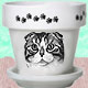 Cat Pot Collectibles, Cat Clocks, Cat Music Boxes, Cat Jars, Cat Mugs