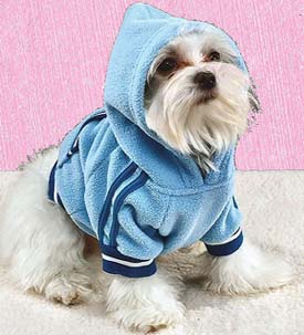 Sporty Fleece Pullover Sweater