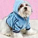 Dog Pullover Dog,dog life preservers Dog,pet life preservers Dog,life preservers dogs Dog,floatation Jackets Dog,floatation jackets animals Dog,dog raincoats Dog,dog jumpsuits Dog,raincoats dogs Dog,jackets dogs Dog,coats dogs Dog,dog collars