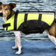 Body Suit Dog Life Jacket Coat,dog life jacket,dog preservers Dog,pet life preservers Dog,life preservers dogs Dog,floatation Jackets Dog,floatation jackets animals Dog,dog raincoats Dog,dog jumpsuits Dog,raincoats dogs Dog,jackets dogs Dog,coats dogs Dog,dog collars