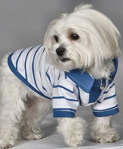 Dog,Cat Products,Self-Cleaning Slicker, Dog, Cat Collars, Leads, Cat Harnesses, Cat Grooming Tools