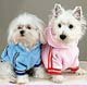 Dog Pullover Dog,dog life preservers Dog,pet life preservers Dog,life preservers dogs Dog,floatation Jackets Dog,floatation jackets animals Dog,dog raincoats Dog,dog jumpsuits Dog,raincoats dogs Dog,jackets dogs Dog,coats dogs Dog,dog collars