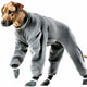 Fleece Bodysuit Dog,dog life preservers Dog,pet life preservers Dog,life preservers dogs Dog,floatation Jackets Dog,floatation jackets animals Dog,dog raincoats Dog,dog jumpsuits Dog,raincoats dogs Dog,jackets dogs Dog,coats dogs Dog,dog collars