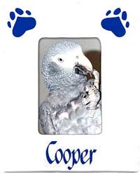 Cat Lovers,Cat Collectibles,Music Boxes,Litter Boxes, Cat Tote Bags, Leads, Cat Harnesses, Cat Grooming Tools