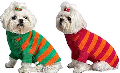 Mercerized Cotton Sweater with Hot Stripes