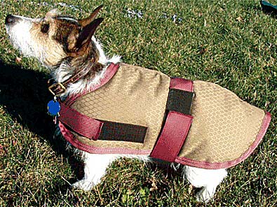 Dog Lovers,Dog Earrings,Carriers,Dog Beds Dog Tote Bags, Leads, Dog Harnesses, Dog Grooming Tools